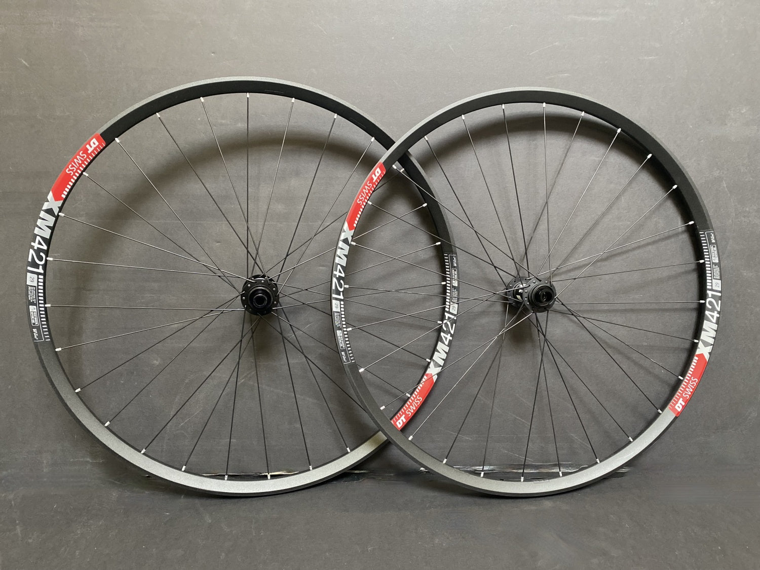 DT Swiss 350 XM421 Wheelset 29