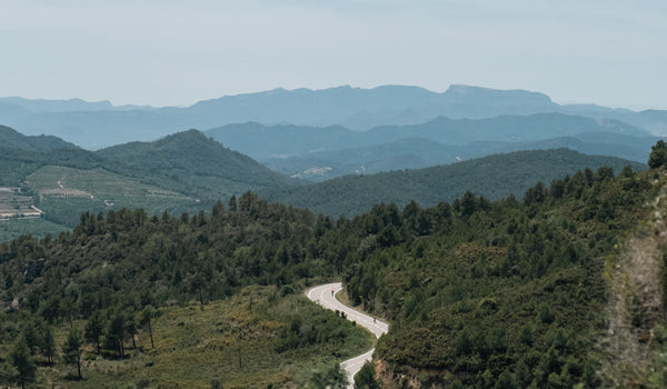 Finding Purpose in a Cloud of Metrics