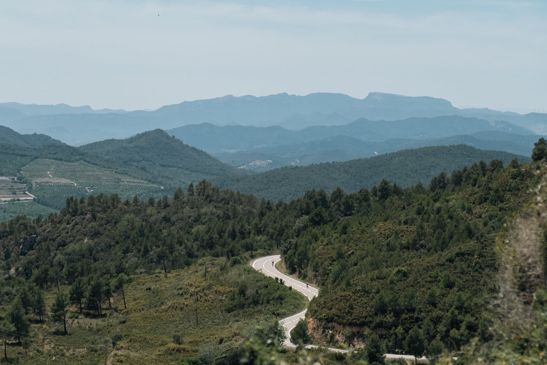 Finding Purpose in a Cloud of Metrics