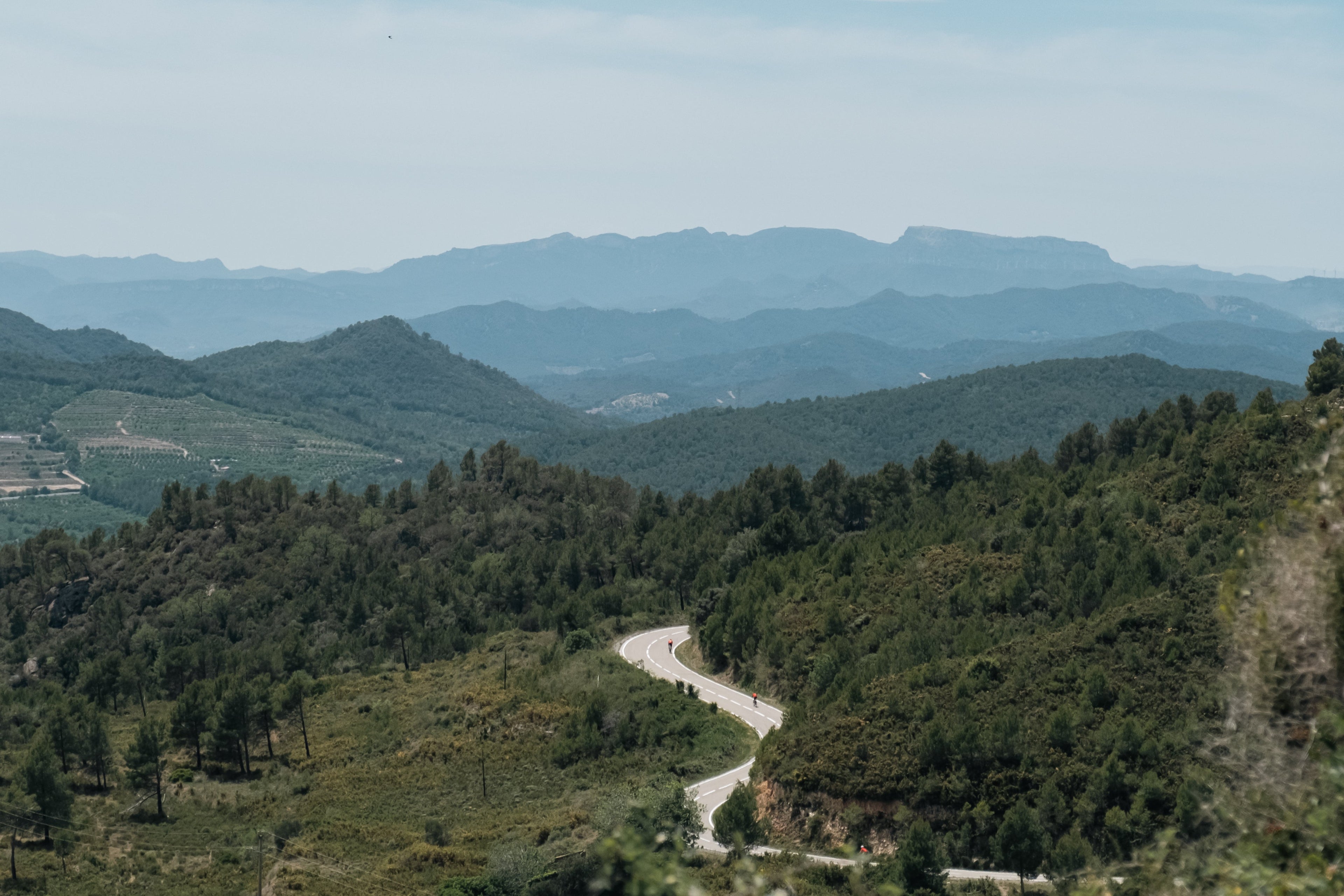 Finding Purpose in a Cloud of Metrics