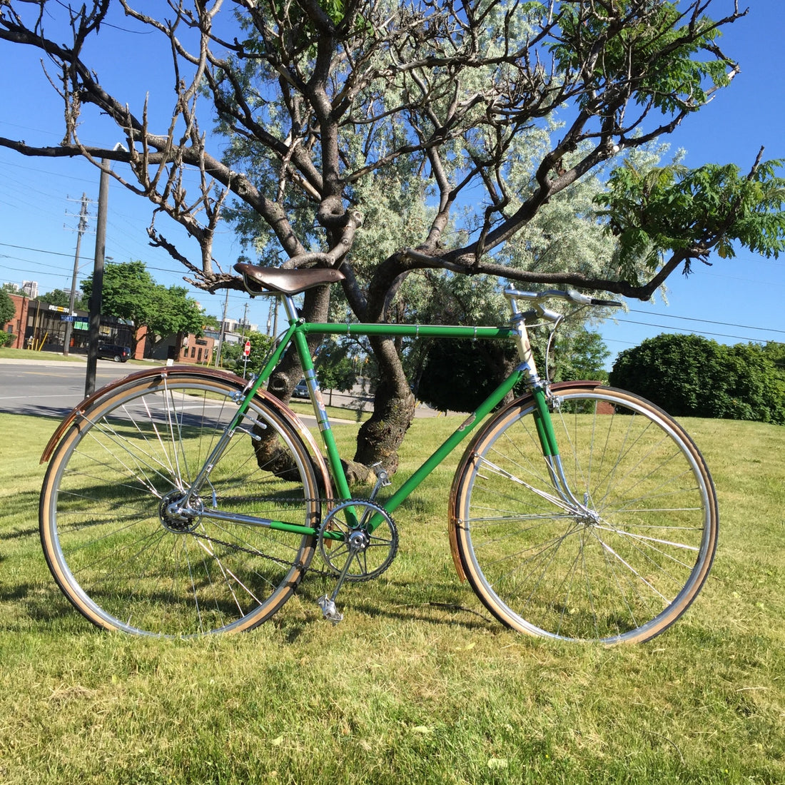 PAGLIANTI RESTORATION