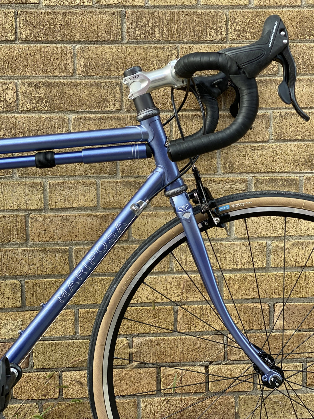 Mariposa Feature: Road+ Bicycle with Campagnolo Chorus