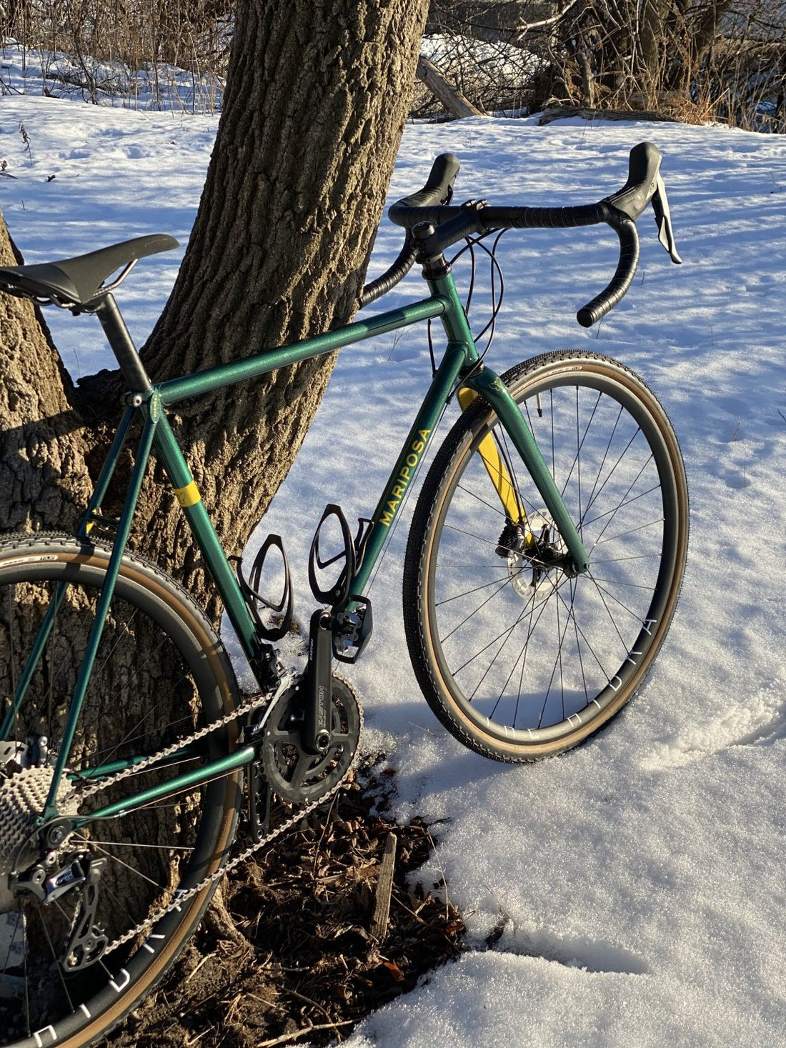 Mariposa Feature: All-Road Bicycle