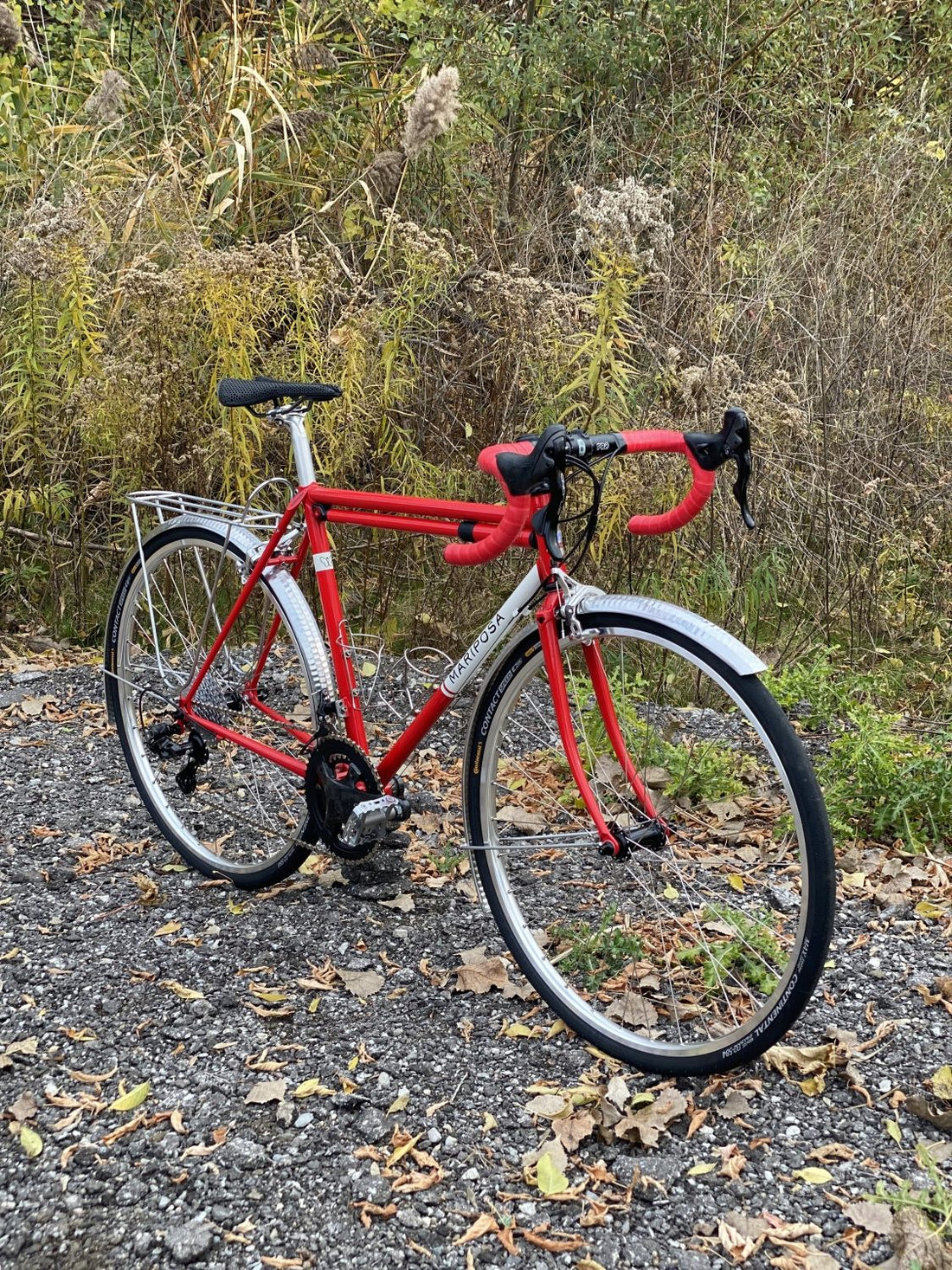 Mariposa Feature: Fenders, a carrier, 650's and Campagnolo Chorus 12