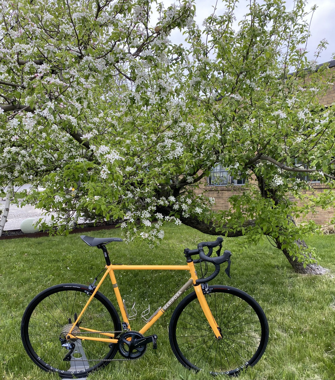 Mariposa Feature: Road Bicycle