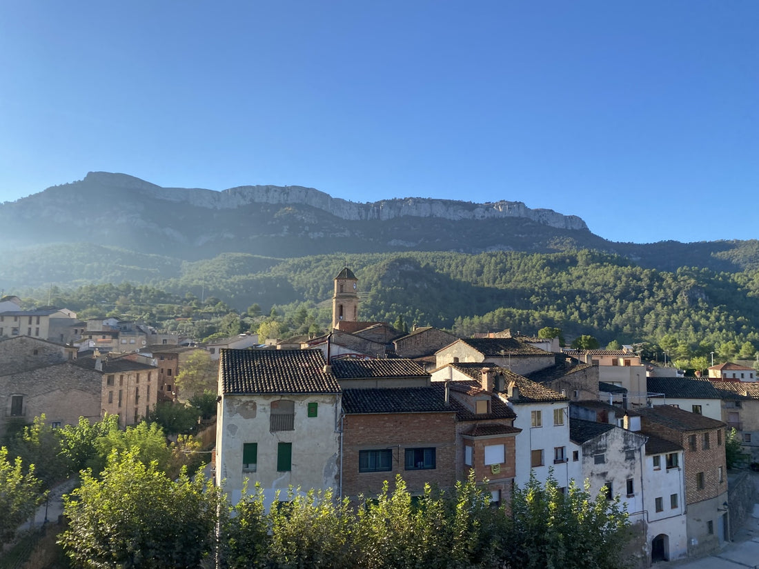 Priorat Cycling Wine Tour.  Fall 2022
