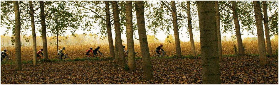 La Ruta Tierra - Mariposa Bicycle Tour