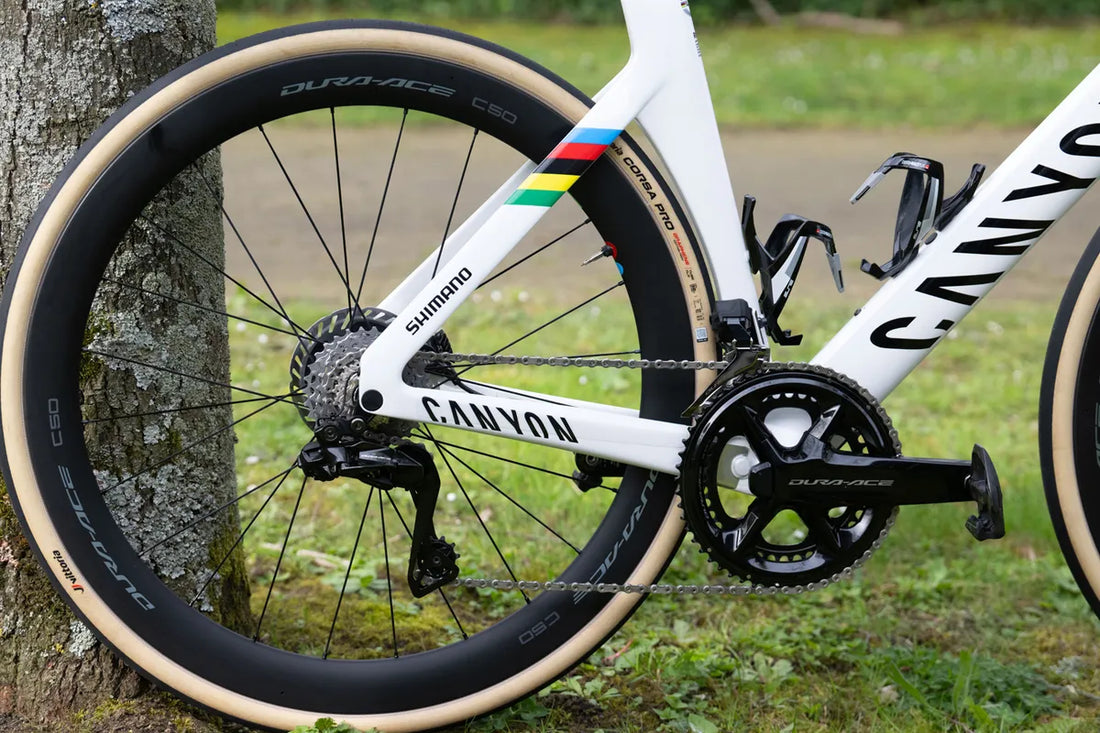 Paris Roubaix and Flanders Winning Wheels and Tires
