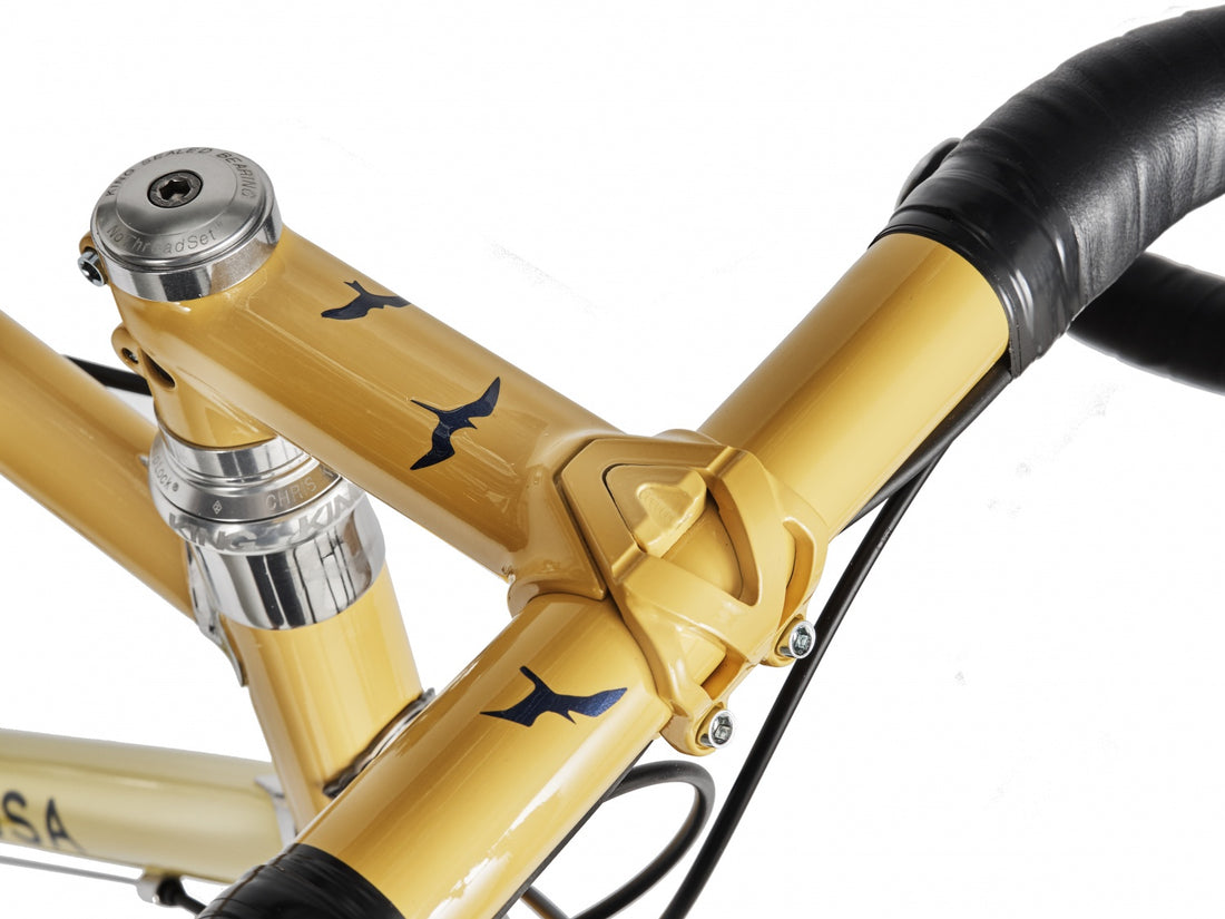 Stainless Steel Road Bicycle