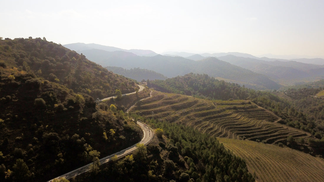 Priorat Cycling Wine Tour