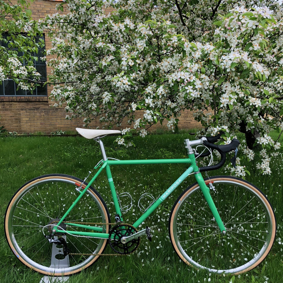 Mariposa Feature:  Canti Gravel Bicycle