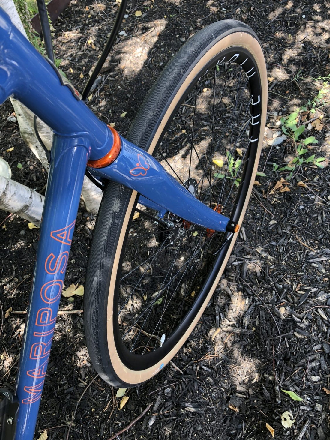 Mariposa Feature:  All-Road Ultegra Di2