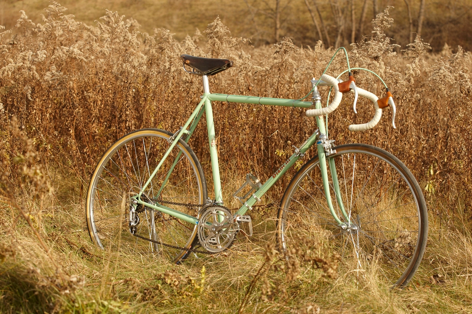 1953 Bianchi Campione del Mondo