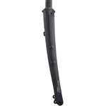 Ritchey WCS Carbon Brevet Road Fork - 700, 12 x 100mm Thru-Axle, Straight Steerer, Flat Mount, Matte Carbon