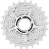 Campagnolo Super Record Wireless Cassette - 10-25t, 12-Speed, Silver