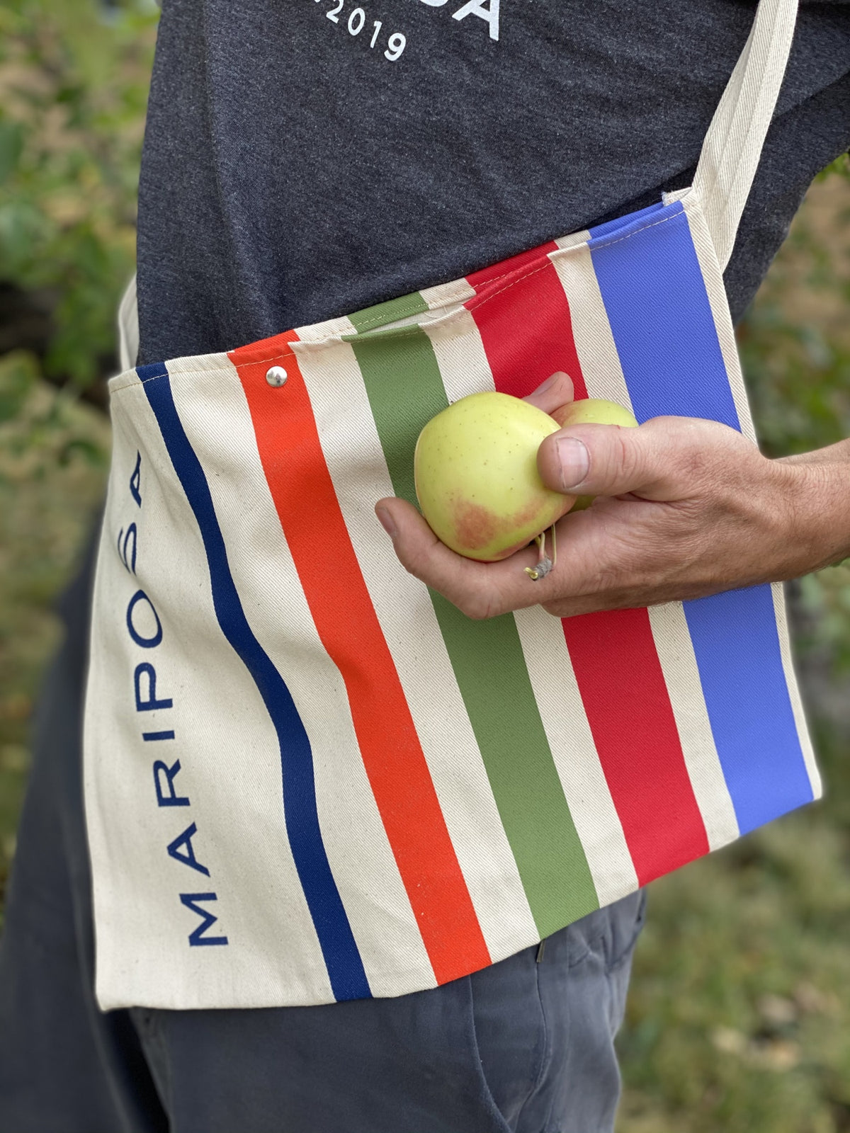 Mariposa Musette