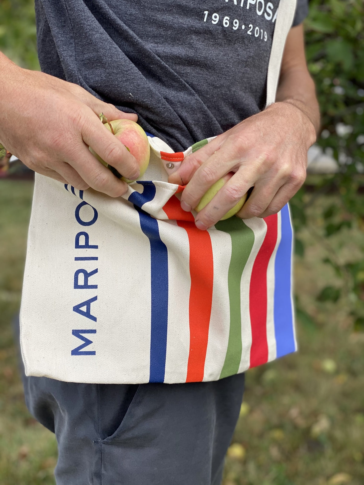 Mariposa Musette