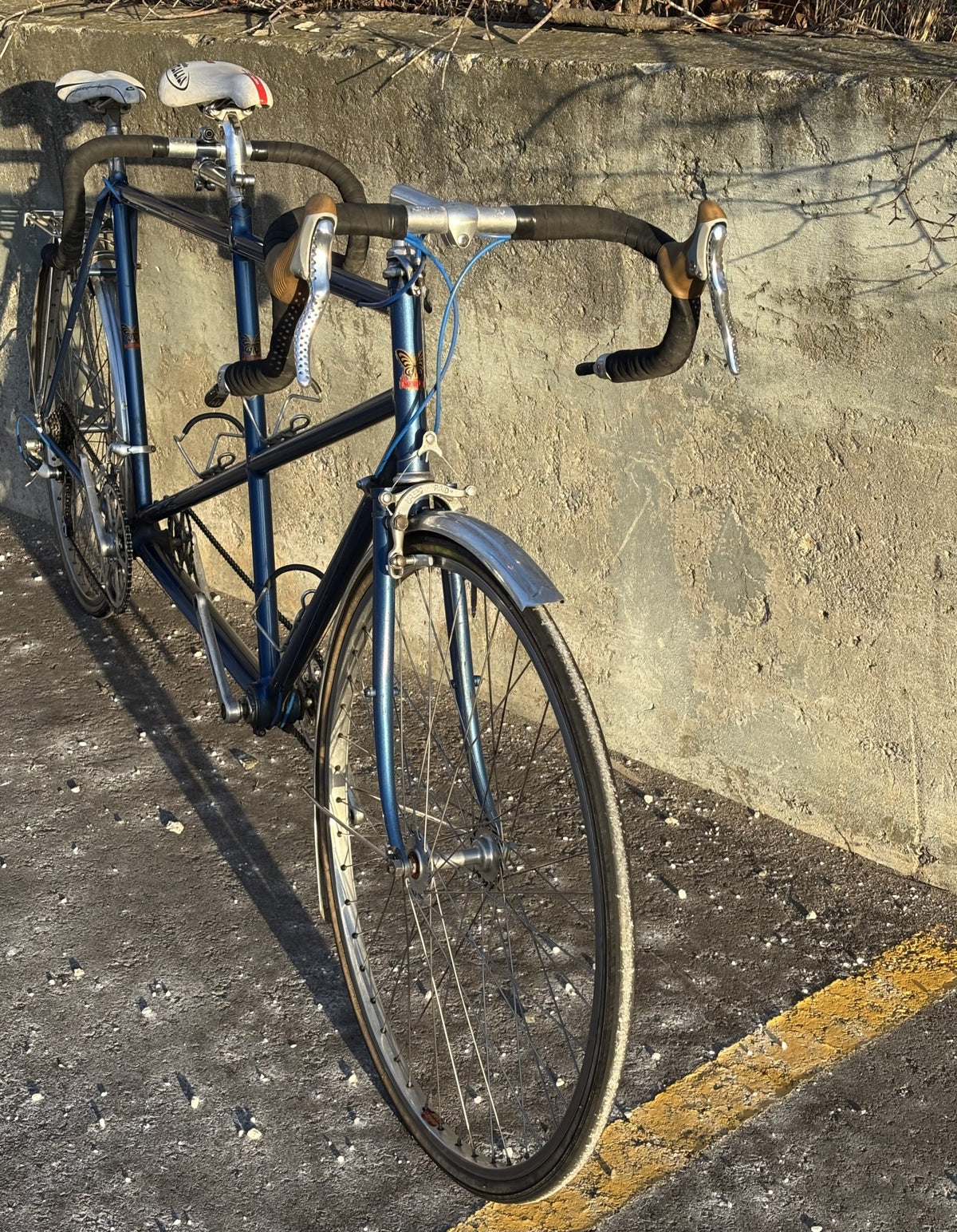 1986 Mariposa Tandem Bicycle