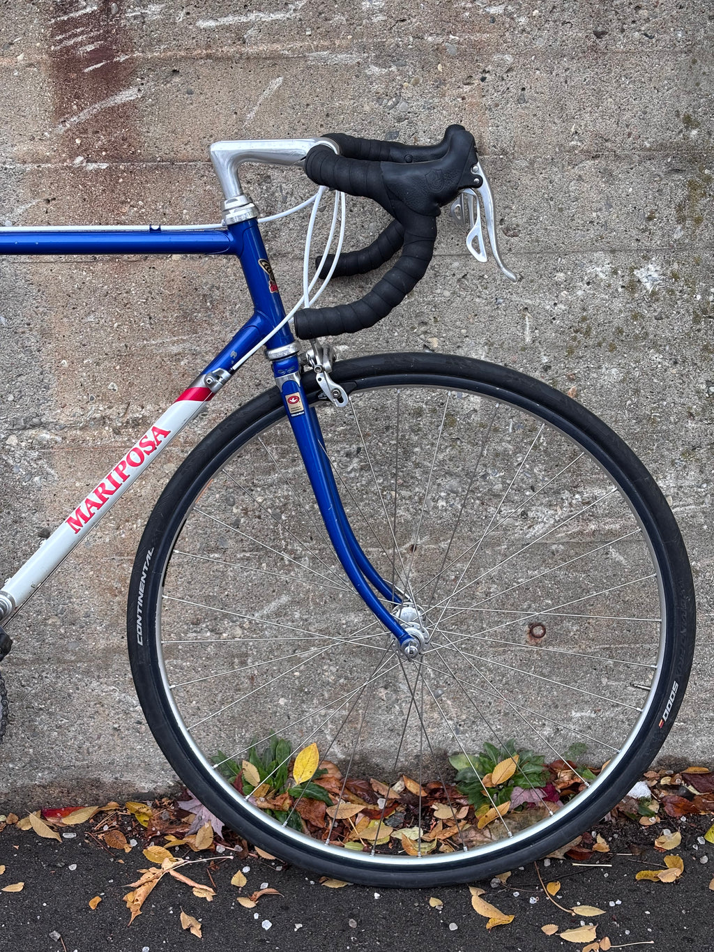 1983 Mariposa Road Bicycle, Size 55cm