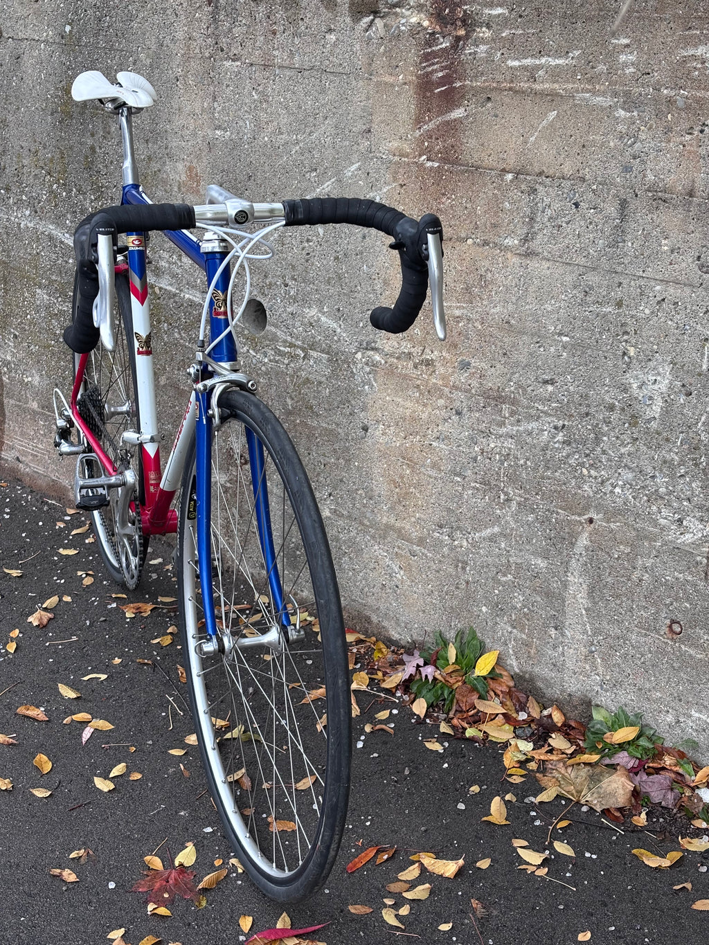1983 Mariposa Road Bicycle, Size 55cm