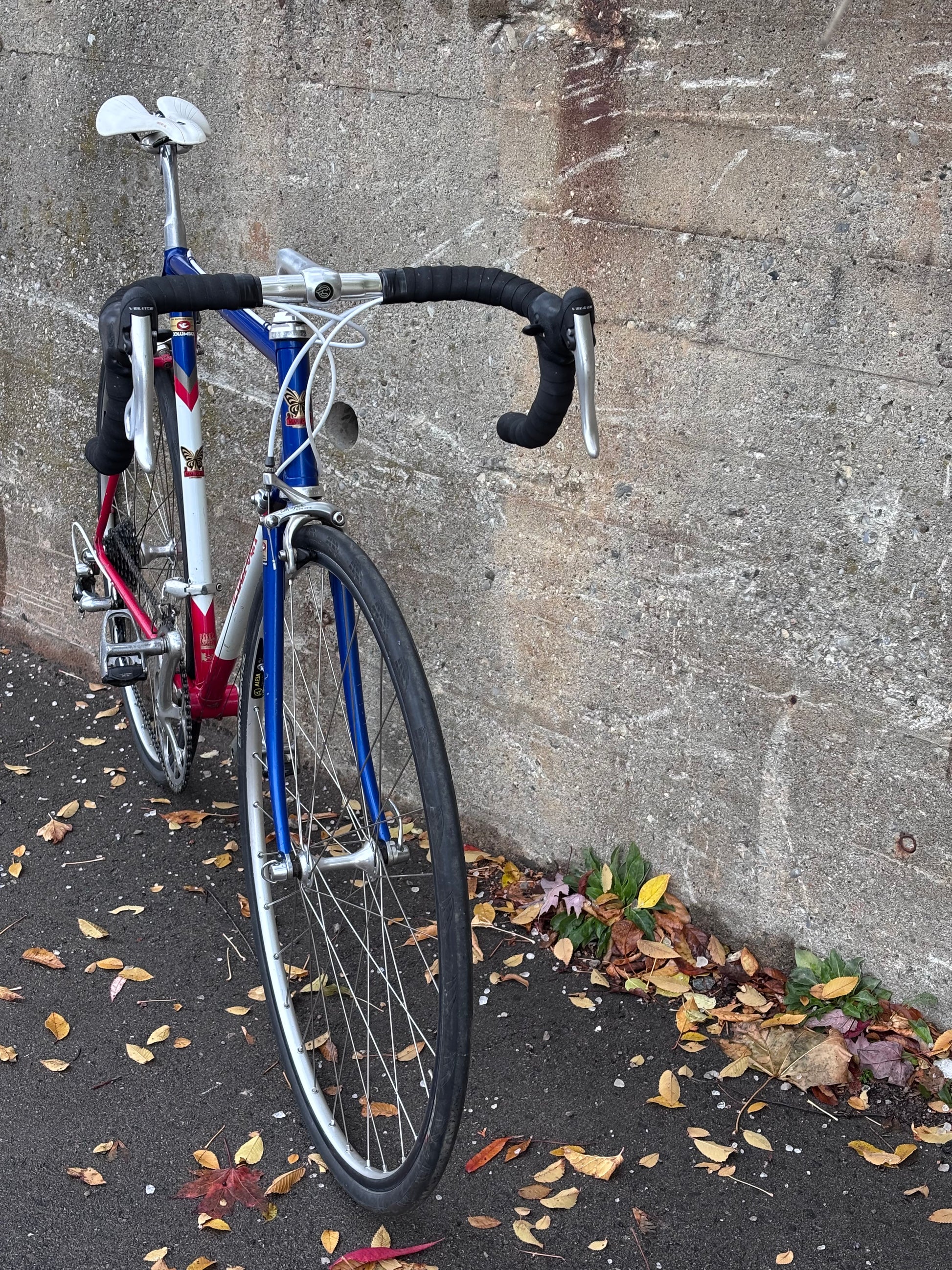 1983 Mariposa Road Bicycle, Size 55cm