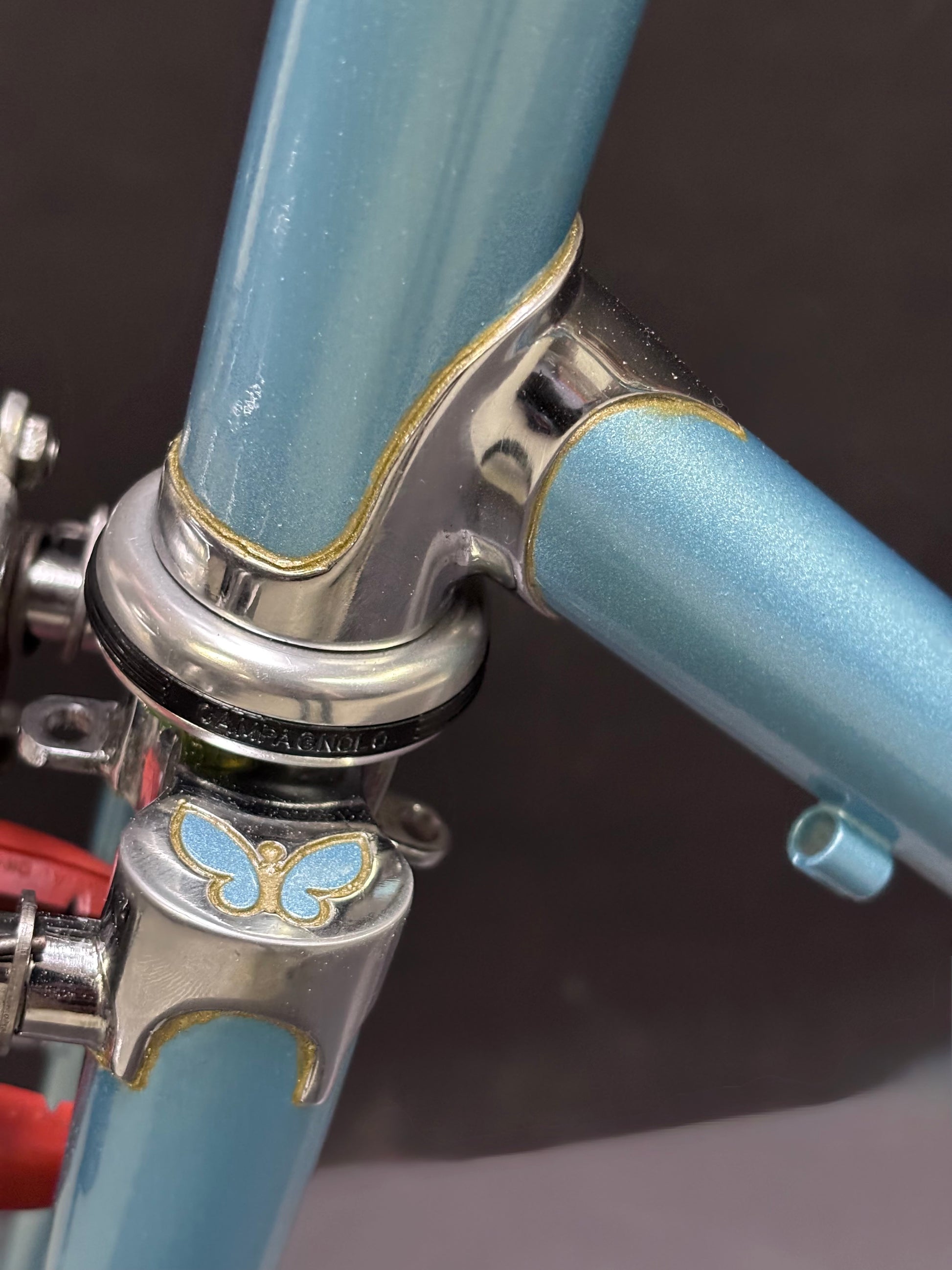 2006 Mariposa Randonneur Frameset, Size 59cm