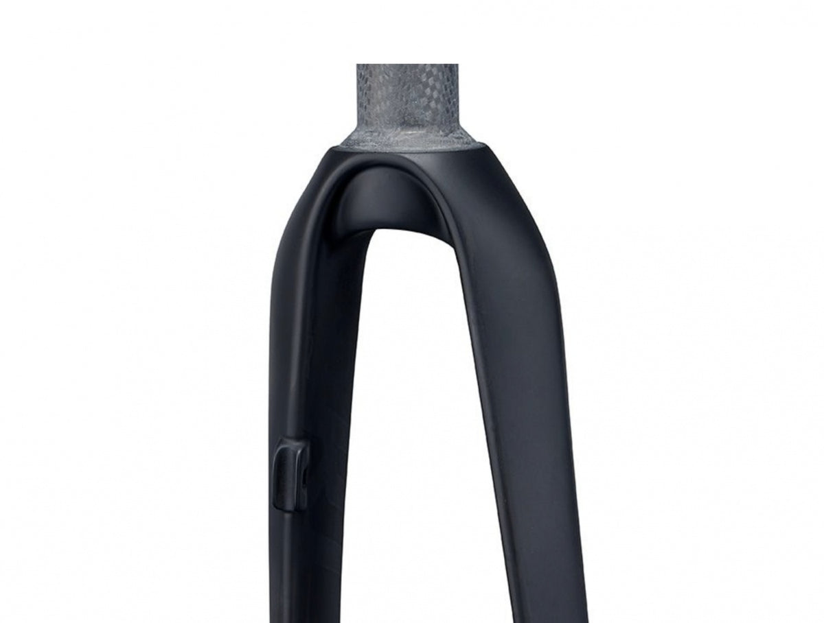Ritchey WCS Carbon Road Disc Fork - 1-1/8", 46mm Rake, Flat Mount, 12mm Thru x 100mm, Black