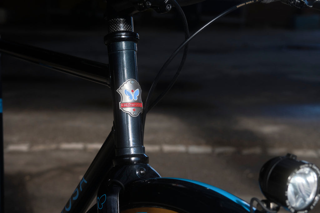 Mariposa City Bicycle with Shimano Cues Q'Auto & Dynamo Lights, Size 55cm