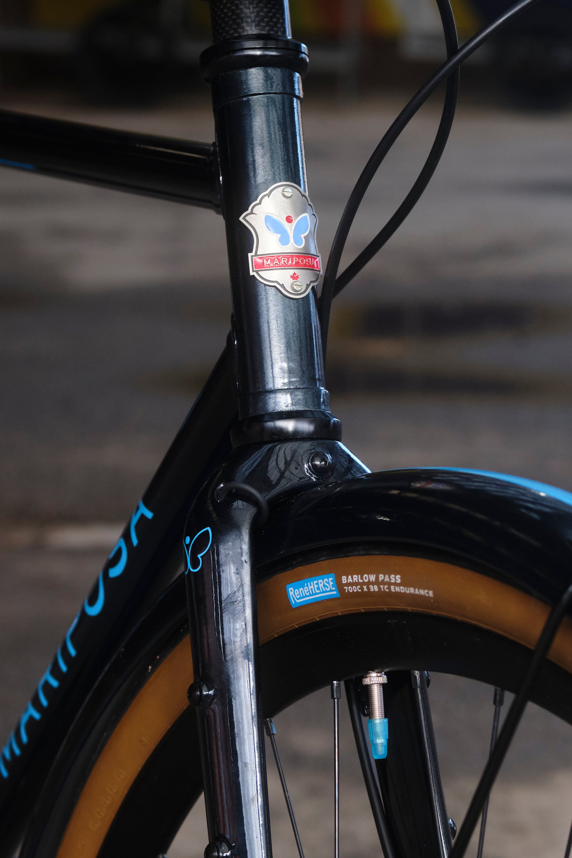 Mariposa City Bicycle with Shimano Cues Q'Auto & Dynamo Lights, Size 55cm