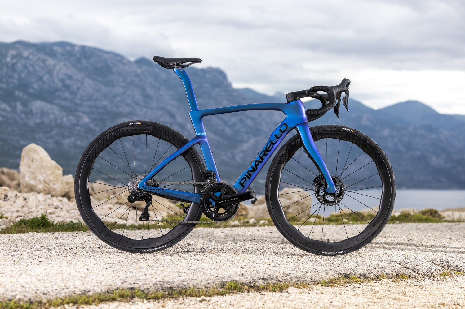 【未使用】SABBATICAL MARIPOSA L マリポサL SABBATICAL MARIPOSA L マリポサL Bikes & Framesets – Mariposa