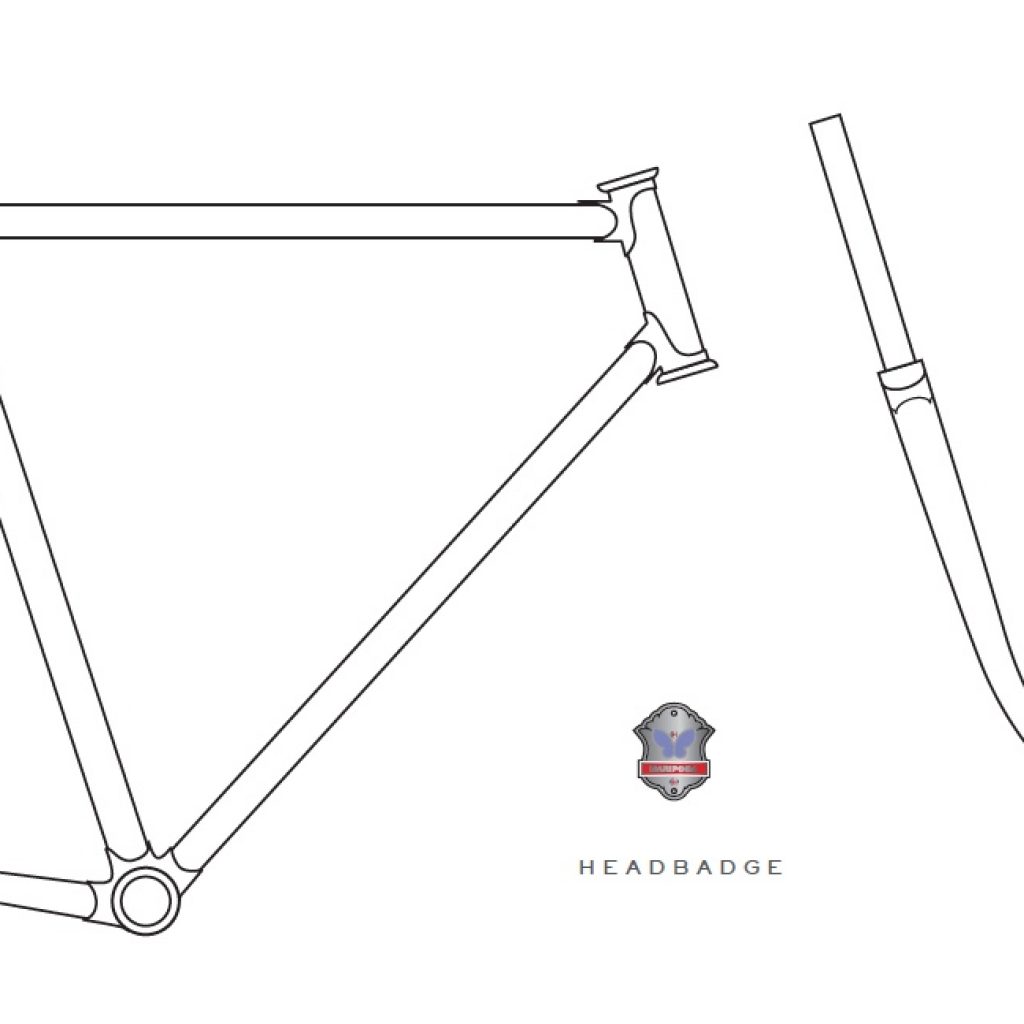 frame and fork